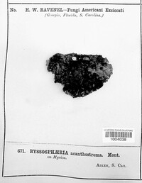 Image Associated With the Occurence
